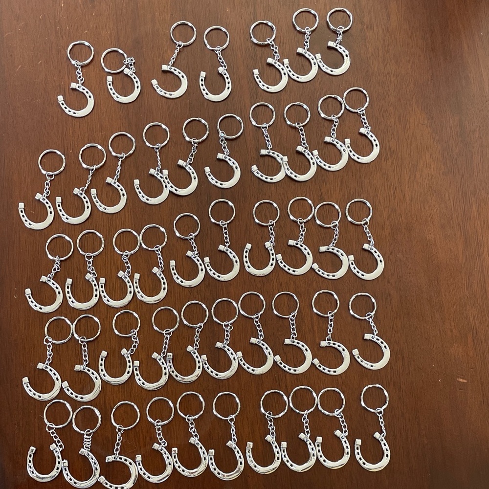 Horseshoe Keychains - Kentucky Derby or Western Themed Party Favors (46 count)